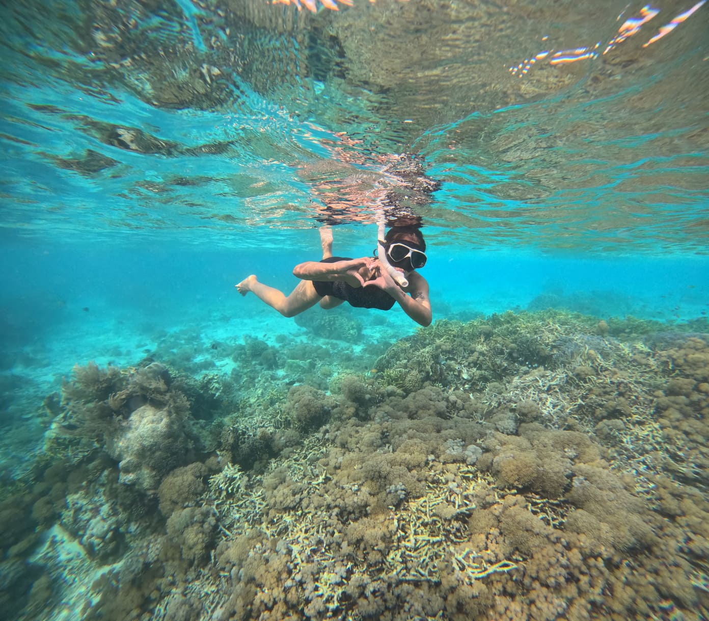 Galeri Trip Komodo Island 16 Galeri Trip Komodo Island 16